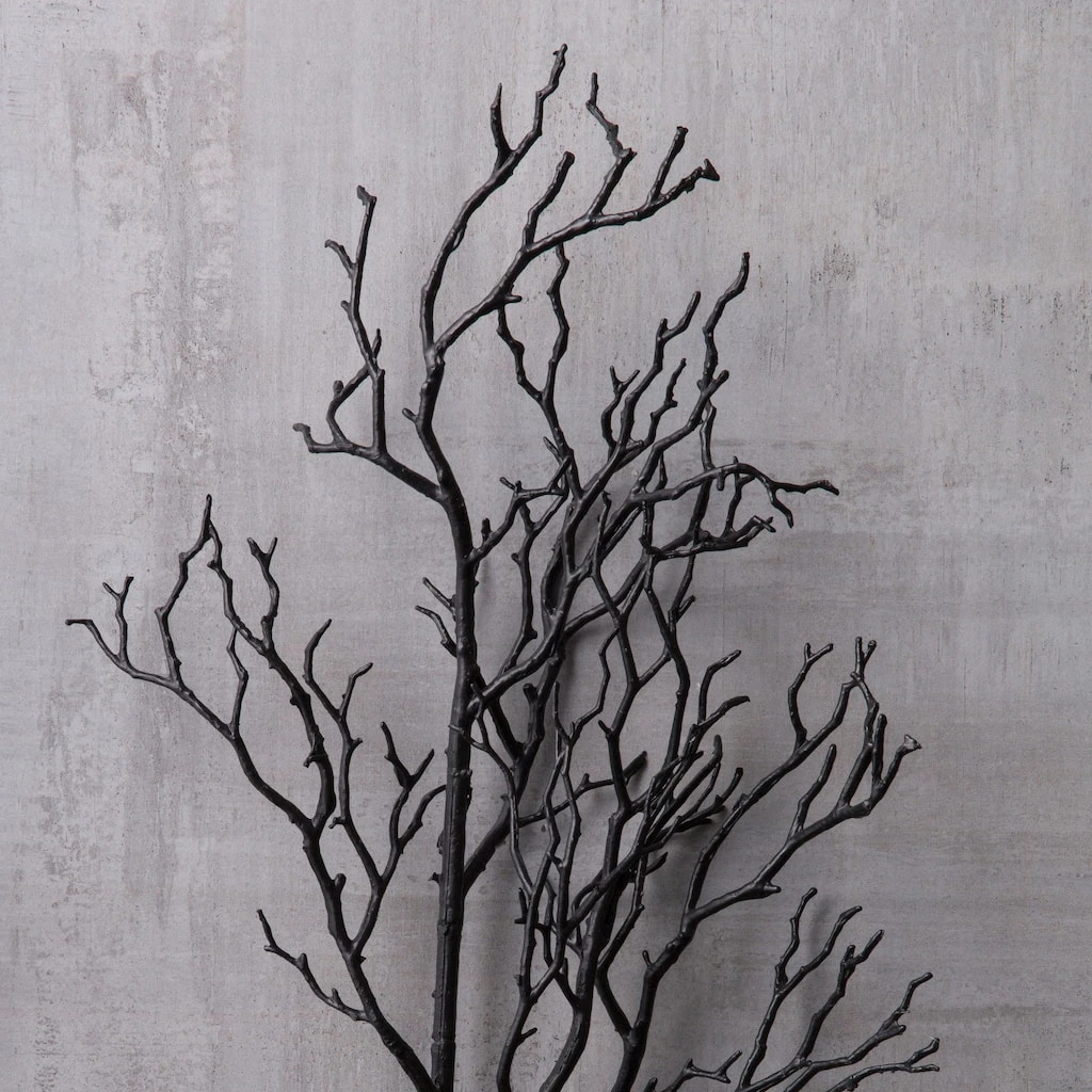 Top 10 ⌛ 12 Pack: Black Bare Branch Spray by Ashland® 🎉 5 Top 10 ⌛ 12 Pack: Black Bare Branch Spray by Ashland® 🎉 - Image 3