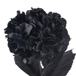 Discount ❤️ 12 Pack: Black Hydrangea Stem by Ashland® 💯 -Ashland Shop MP402858 20