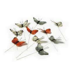 Hot Sale 🛒 12 Packs: 12 ct. (144 total) Small Bright Butterflies by Ashland® 😀 -Ashland Shop MP407687 21