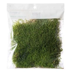Best reviews of 💯 12 Pack: Forest Green Preserved Moss by Ashland® 🔔