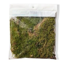 Best reviews of 💯 12 Pack: Forest Green Preserved Moss by Ashland® 🔔 -Ashland Shop MP407975 20