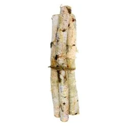 Coupon 🔥 6 Pack: Birch Log Bundle by Ashland® 🔔 -Ashland Shop MP425159 2