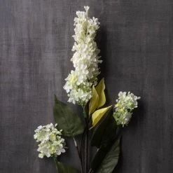 Coupon ⌛ 6 Pack: Cream Lilac Spray by Ashland® ✔️ -Ashland Shop MP430218 22