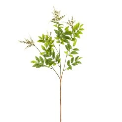 Best deal ⭐ 6 Pack: Cream Hybrid Spirea Spray by Ashland® ✨