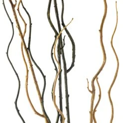 Budget β 12 Pack: Green & Yellow Twig Branch by Ashland® π 10 Budget β 12 Pack: Green & Yellow Twig Branch by Ashland® π -Ashland Shop MP430277 20