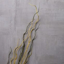 Budget β 12 Pack: Green & Yellow Twig Branch by Ashland® π 11 Budget β 12 Pack: Green & Yellow Twig Branch by Ashland® π -Ashland Shop MP430277 22