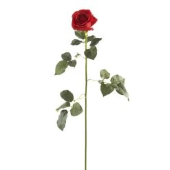 Outlet ✨ 12 Pack: Red Dutch Rose Stem by Ashland® ⭐
