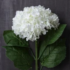 Brand new ✨ 8 Pack: Cream Hydrangea Stem by Ashland® ❤️ -Ashland Shop MP430287 22