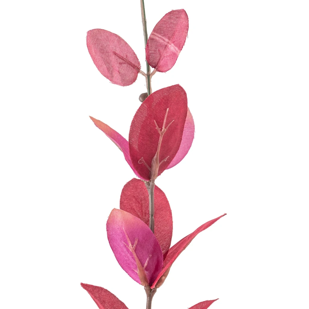 Discount 🎉 12 Pack: Burgundy Honeysuckle Leaf Spray by Ashland® ✨ 4 Discount 🎉 12 Pack: Burgundy Honeysuckle Leaf Spray by Ashland® ✨ - Image 2