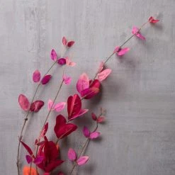 Discount 🎉 12 Pack: Burgundy Honeysuckle Leaf Spray by Ashland® ✨ 9 Discount 🎉 12 Pack: Burgundy Honeysuckle Leaf Spray by Ashland® ✨ -Ashland Shop MP430394 22