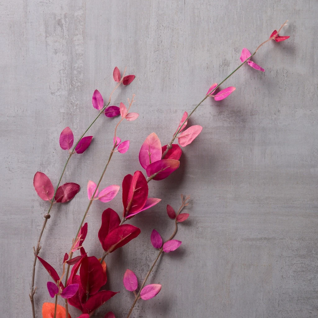 Discount 🎉 12 Pack: Burgundy Honeysuckle Leaf Spray by Ashland® ✨ 6 Discount 🎉 12 Pack: Burgundy Honeysuckle Leaf Spray by Ashland® ✨ - Image 4