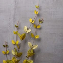 Hot Sale β€οΈ 12 Pack: Honeysuckle Leaf Spray by Ashland® π 9 Hot Sale β€οΈ 12 Pack: Honeysuckle Leaf Spray by Ashland® π -Ashland Shop MP430396 22