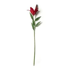 Wholesale 😀 12 Pack: Red Casablanca Lily Stem by Ashland® 👏 -Ashland Shop MP430444 21