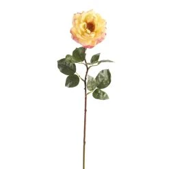 Best reviews of ⌛ 12 Pack: Yellow Orlane Rose Stem by Ashland® 👏
