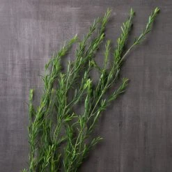 Cheap 🧨 12 Pack: Green Trailing Grass Spray by Ashland® ❤️ -Ashland Shop MP449806 22