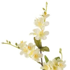 Top 10 🌟 12 Pack: Cream Vinca Spray by Ashland® ✨ -Ashland Shop MP449815 20