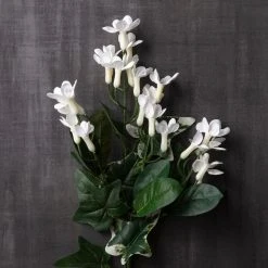 Best deal 💯 12 Pack: White Rhinestone Stephanotis Spray by Ashland® 👏 -Ashland Shop MP450083 22