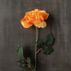 Hot Sale 👍 12 Pack: Salmon Rose Stem by Ashland® 😀 -Ashland Shop MP450088 25