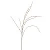 Discount 👏 18 Pack: Pussy Willow Stem by Ashland® 👍 2 Discount 👏 18 Pack: Pussy Willow Stem by Ashland® 👍 -Ashland Shop MP450208 1
