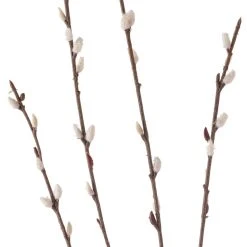 Discount 👏 18 Pack: Pussy Willow Stem by Ashland® 👍 -Ashland Shop MP450208 20