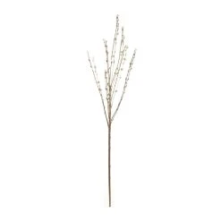 Discount 👏 18 Pack: Pussy Willow Stem by Ashland® 👍 -Ashland Shop MP450208 21