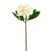 Deals 🌟 12 Pack: White Frangipani Stem by Ashland® 🔔 -Ashland Shop MP450428 1