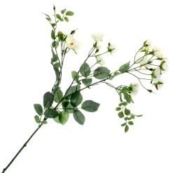 Flash Sale ✨ 12 Pack: Cream Kate Rose Spray by Ashland® 🤩