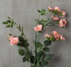 Budget 🥰 12 Pack: Pink Kate Rose Spray by Ashland® ⌛ -Ashland Shop MP451130 25