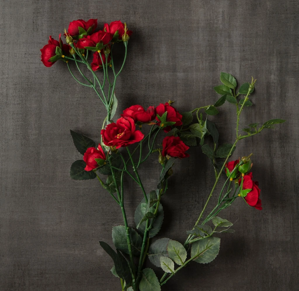 Cheapest π 12 Pack: Dark Red Kate Rose Spray by Ashland® β¨ 6 Cheapest π 12 Pack: Dark Red Kate Rose Spray by Ashland® β¨ - Image 4