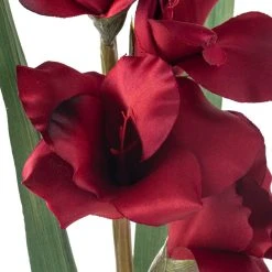 Hot Sale 👏 12 Pack: Burgundy Gladiolus Stem by Ashland® ✨ -Ashland Shop MP451146 20