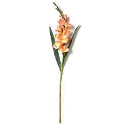 New ❤️ 12 Pack: Salmon Gladiolus Stem by Ashland® ✨ -Ashland Shop MP451152 21