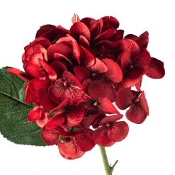 Discount 😀 12 Pack: Red Hydrangea Stem by Ashland® ⌛ -Ashland Shop MP451155 20