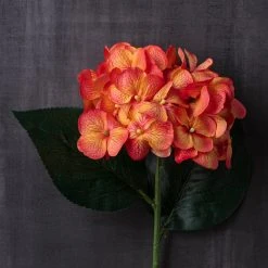 Flash Sale 😀 12 Pack: Orange Hydrangea Stem by Ashland® 🔥 -Ashland Shop MP451157 22