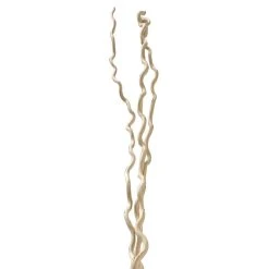 Hot Sale 😉 6 Pack: Cream Curly Willow Branch Bundle by Ashland® ✨
