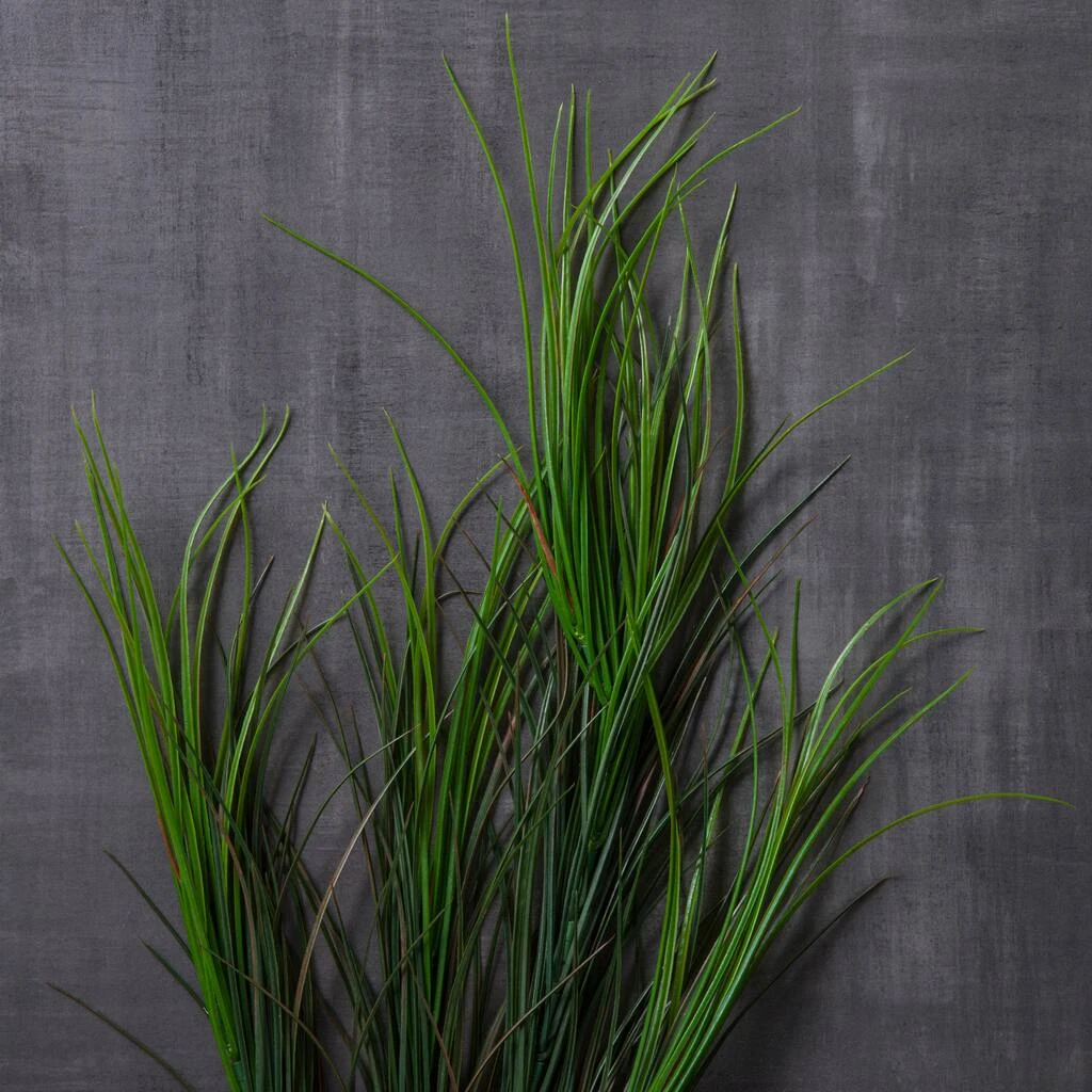 Discount π 12 Pack: Assorted Green Grass Bush by Ashland® π 6 Discount π 12 Pack: Assorted Green Grass Bush by Ashland® π - Image 4