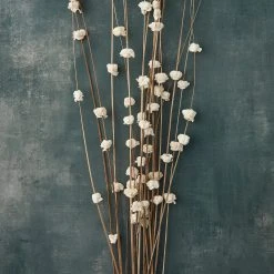 Outlet ⌛ 6 Pack: Natural Ting Branches with Sola Flowers by Ashland® ✨ -Ashland Shop MP454596 20