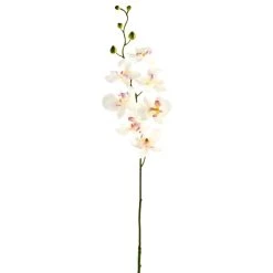 Best deal 🤩 12 Pack: Cream & Pink Orchid Spray by Ashland® 😀