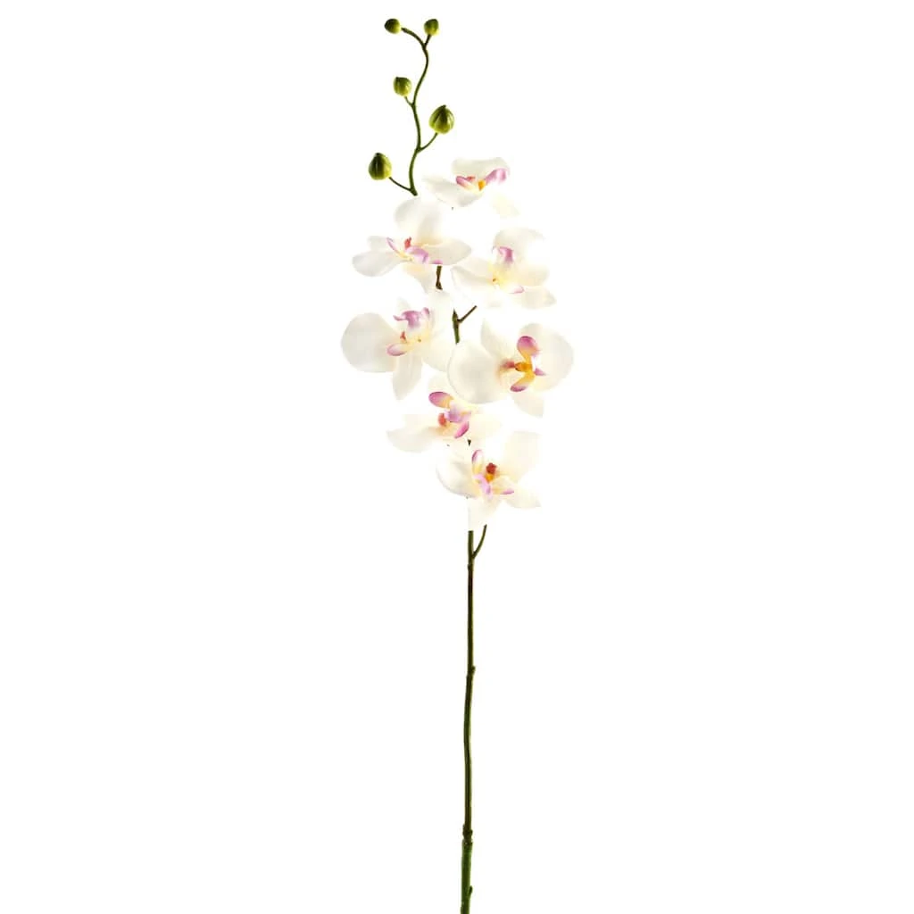 Best deal 🤩 12 Pack: Cream & Pink Orchid Spray by Ashland® 😀 3 Best deal 🤩 12 Pack: Cream & Pink Orchid Spray by Ashland® 😀