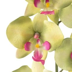 Top 10 ⌛ 12 Pack: Green & Pink Orchid Spray by Ashland® 🔥 -Ashland Shop MP459035 20