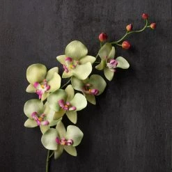 Top 10 ⌛ 12 Pack: Green & Pink Orchid Spray by Ashland® 🔥 -Ashland Shop MP459035 22