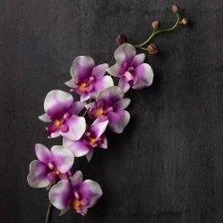 Coupon ⌛ 12 Pack: Pink & White Orchid Spray by Ashland® 🤩 9 Coupon ⌛ 12 Pack: Pink & White Orchid Spray by Ashland® 🤩 -Ashland Shop MP459037 22