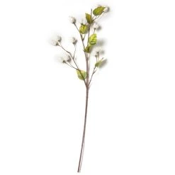 New 🔥 12 Pack: Cream Hops Spray by Ashland® 🎁 -Ashland Shop MP461196 21