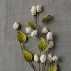 New 🔥 12 Pack: Cream Hops Spray by Ashland® 🎁 -Ashland Shop MP461196 25