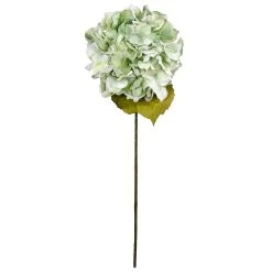 Brand new ⌛ 12 Pack: Seafoam Green Hydrangea Stem by Ashland® 👍