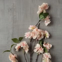 Deals 👏 12 Pack: Coral & White Blossom Spray by Ashland® 🎁 -Ashland Shop MP461601 25