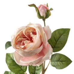 Flash Sale 👍 12 Pack: Light Pink English Rose Stem by Ashland® ⌛ -Ashland Shop MP461605 20