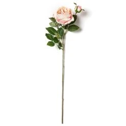 Flash Sale 👍 12 Pack: Light Pink English Rose Stem by Ashland® ⌛ -Ashland Shop MP461605 21