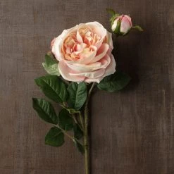 Flash Sale 👍 12 Pack: Light Pink English Rose Stem by Ashland® ⌛ -Ashland Shop MP461605 25