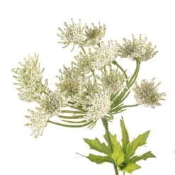 Flash Sale ✨ 12 Pack: White Queen Anne's Lace Spray by Ashland® ✨ -Ashland Shop MP461649 20