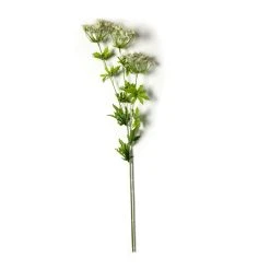 Flash Sale ✨ 12 Pack: White Queen Anne's Lace Spray by Ashland® ✨ -Ashland Shop MP461649 21